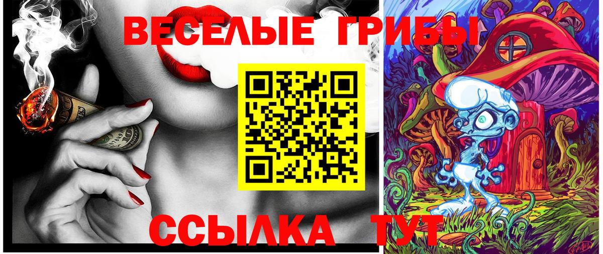 Галлюциногенные грибы GOLDEN TEACHER  где найти наркотики  Асино  Вход с VPN 
